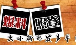小寒最新爆料新闻,揭秘娱乐圈最新热点事件