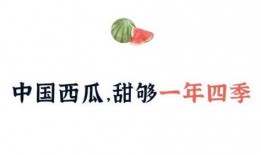 娱乐吃瓜酱中国文学,解码中国文学生态的趣味视角